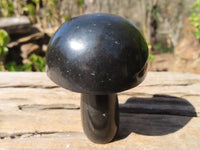 Polished Large Black Basalt Mushrooms x 6 From Madagascar