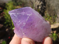 Natural Jacaranda Amethyst Crystals x 35 From Zambia