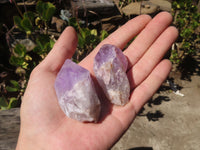 Natural Jacaranda Amethyst Crystals x 35 From Zambia