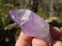 Natural Jacaranda Amethyst Crystals x 35 From Zambia