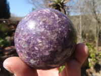 Polished Purple Lepidolite Spheres  x 3 From Madagascar