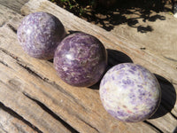 Polished Purple Lepidolite Spheres  x 3 From Madagascar