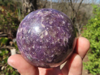 Polished Purple Lepidolite Spheres  x 3 From Madagascar