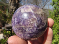 Polished Purple Lepidolite Spheres  x 3 From Madagascar