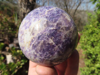 Polished Purple Lepidolite Spheres  x 3 From Madagascar