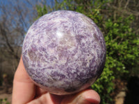 Polished Purple Lepidolite Spheres  x 3 From Madagascar