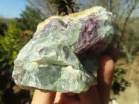 Natural Rough Watermelon Fluorite Cobbed Specimens  x 12 From Uis, Namibia