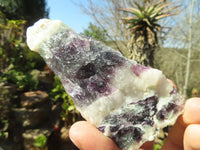 Natural Rough Watermelon Fluorite Cobbed Specimens  x 12 From Uis, Namibia