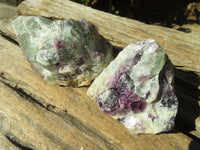 Natural Rough Watermelon Fluorite Cobbed Specimens  x 12 From Uis, Namibia