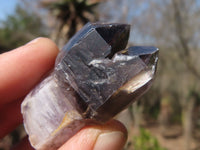 Natural Royal Zulu Window Amethyst Crystals x 20 From, South Africa