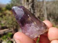 Natural Royal Zulu Window Amethyst Crystals x 20 From, South Africa