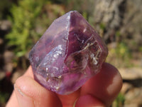 Natural Royal Zulu Window Amethyst Crystals x 20 From, South Africa