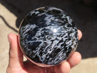 Polished Merlinite Gabbro Spheres  x 2 From Ambatondrazaka, Madagascar