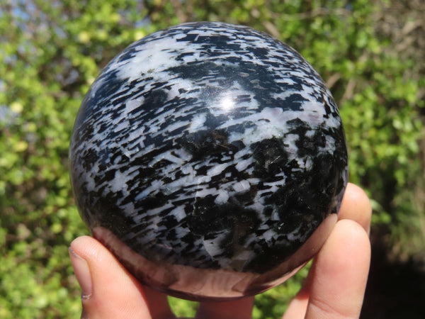 Polished Merlinite Gabbro Spheres  x 2 From Ambatondrazaka, Madagascar