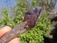 Natural Skeletal Smokey Amethyst Crystals  x 24 From Zimbabwe