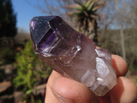 Natural Skeletal Smokey Amethyst Crystals  x 24 From Zimbabwe