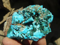 Natural Drusy Chrysocolla & Malachite Dolomite Specimens x 12 From Likasi, Congo