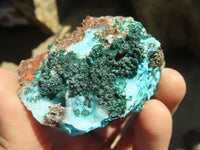 Natural Drusy Chrysocolla & Malachite Dolomite Specimens x 12 From Likasi, Congo