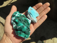 Natural Drusy Chrysocolla & Malachite Dolomite Specimens x 12 From Likasi, Congo