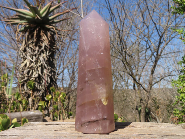 Polished Large Rose Quartz Point x 1 From Antsirabe, Madagascar