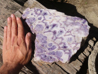 Polished Extra Large Chevron Amethyst Slice x 1 From Zambia