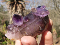 Natural Conglomerate Amethyst Clusters x 6 From Chiredzi, Zimbabwe