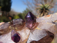 Natural Conglomerate Amethyst Clusters x 6 From Chiredzi, Zimbabwe