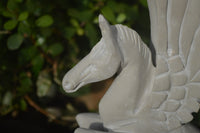 Polished White Marble Pegasus Carving x 1 From Zimbabwe