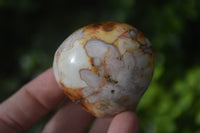 Polished Ocean Flower Agate Gallets  x 13 From Madagascar