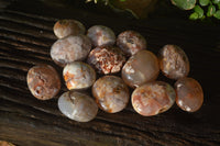 Polished Ocean Flower Agate Gallets  x 13 From Madagascar