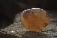 Polished Ocean Flower Agate Gallets  x 13 From Madagascar