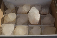 Natural Large Quartz Crystals  x 12 From Madagascar