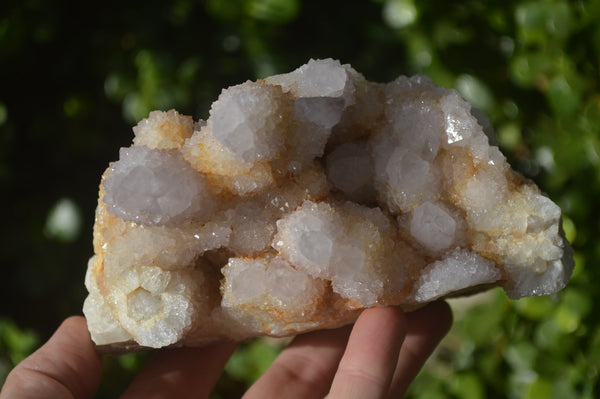 Natural Spirit Quartz Clusters x 2 From Boekenhouthoek, South Africa