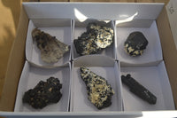 Natural Schorl Black Tourmaline Specimens x 6 From Erongo, Namibia