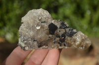 Natural Schorl Black Tourmaline Specimens x 6 From Erongo, Namibia