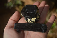 Natural Schorl Black Tourmaline Specimens x 6 From Erongo, Namibia