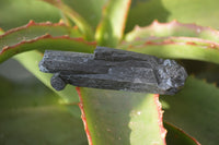 Natural Schorl Black Tourmaline Specimens x 6 From Erongo, Namibia