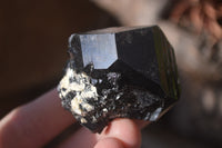 Natural Schorl Black Tourmaline Specimens x 6 From Erongo, Namibia