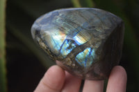 Polished Labradorite Standing Free Forms x 6 From Tulear, Madagascar