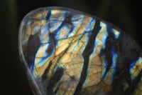 Polished Labradorite Standing Free Forms x 6 From Tulear, Madagascar