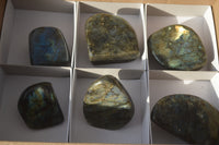 Polished Labradorite Standing Free Forms x 6 From Tulear, Madagascar