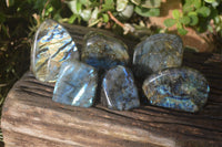 Polished Labradorite Standing Free Forms x 6 From Tulear, Madagascar