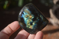 Polished Labradorite Standing Free Forms x 6 From Tulear, Madagascar