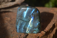 Polished Labradorite Standing Free Forms x 6 From Tulear, Madagascar