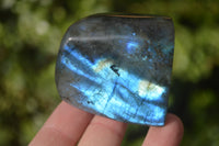 Polished Labradorite Standing Free Forms x 6 From Tulear, Madagascar