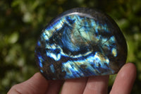 Polished Labradorite Standing Free Forms x 6 From Tulear, Madagascar