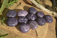 Polished Purple Lepidolite Gallets  x 12 From Zimbabwe