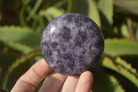 Polished Purple Lepidolite Gallets  x 12 From Zimbabwe