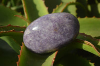 Polished Purple Lepidolite Gallets  x 12 From Zimbabwe