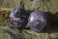 Polished Purple Lepidolite Gallets  x 12 From Zimbabwe